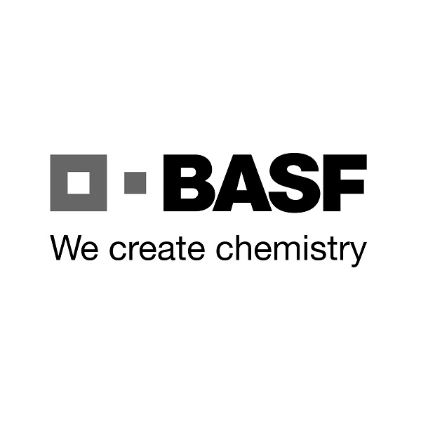پلی سولفون BASF
