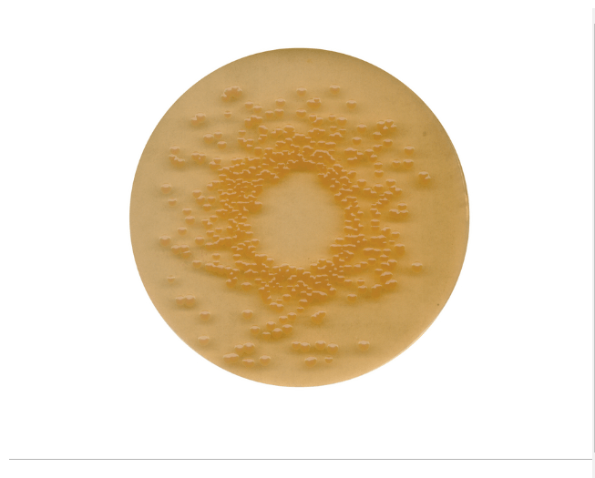 dev gellatin agar