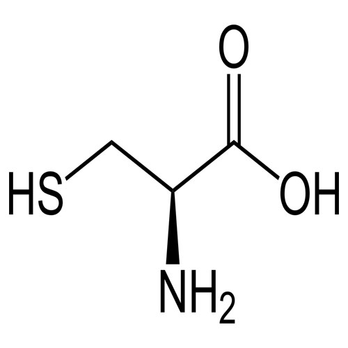 دی سیستین