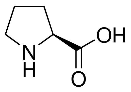 اسید آمینه ال پرولین (BioUltra)