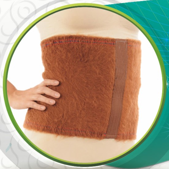 گرمکن کلیه شتری سما طب