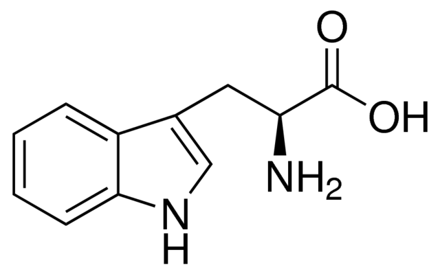 تریپتوفان
