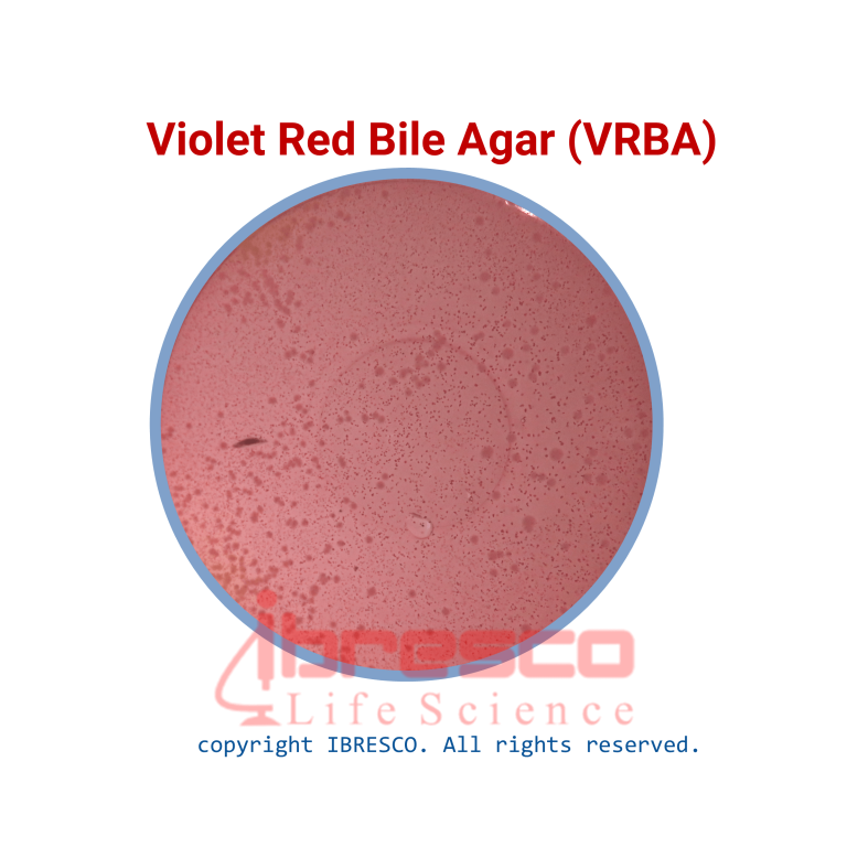 محیط کشت ویولت رد بایل آگار (VRBA) - برند ایبرسکو