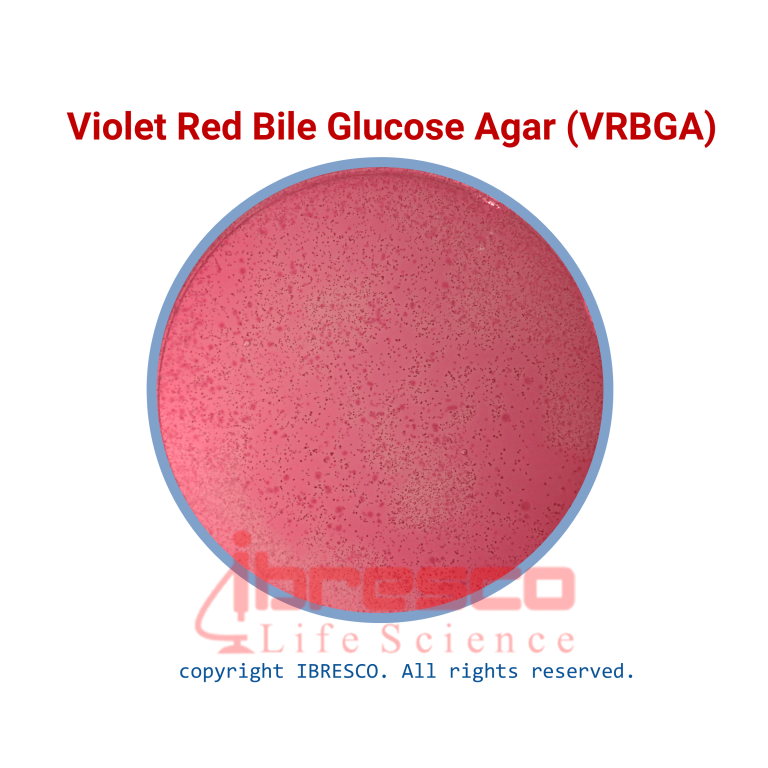 محیط کشت ویولت رد بایل گلوکز آگار (VRBGA) - برند ایبرسکو